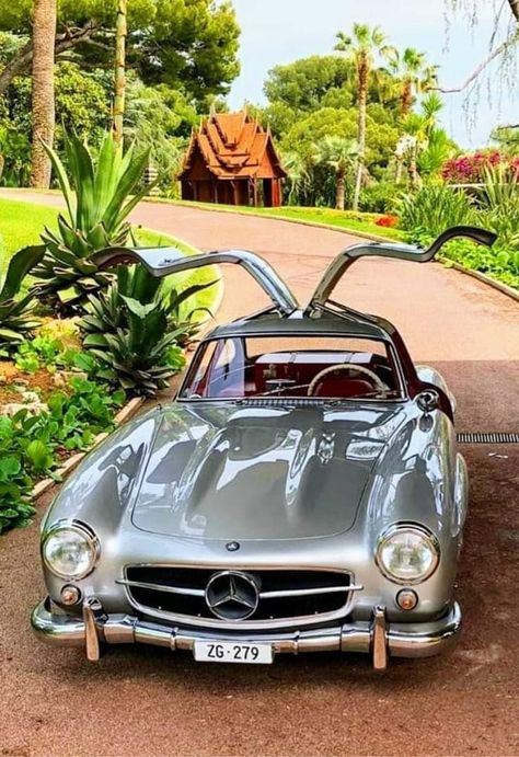 300sl Gullwing, Benz 300sl, Mercedes Benz 300sl, Mercedes Benz 300 Sl, Old Mercedes, Rich Cars, Mercedes 300sl, Old Vintage Cars, Mercedes Sl