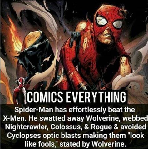 Spider Man Facts, Superhero Facts, Marvel Facts, Avengers Cast, Dc Memes, Uncanny X-men, Marvel Jokes, Marvel Vs, Marvel Funny