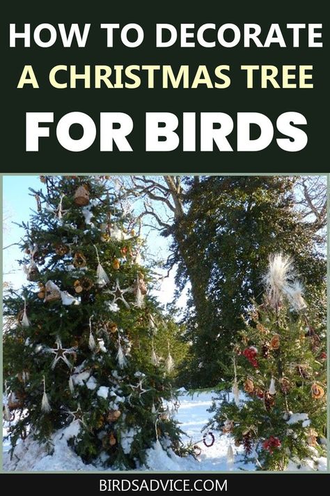 Outdoor Bird Christmas Tree, Christmas Tree For The Birds, Ornaments For Outside Trees, Bird Feeder Christmas Tree, Christmas Tree For Birds Outdoor, Wildlife Christmas Tree Ideas, Christmas Tree For Birds, Wildlife Christmas Tree, Eco Christmas Decorations