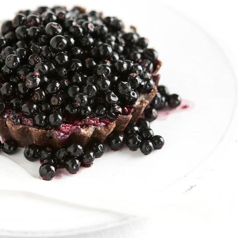 Crowberry Tart - The Cook's Cook Crowberry Recipe, Tart Recipe, Baked Goodies, Tart Recipes, Vegan Life, Vegan Lifestyle, Newfoundland, Pecans, Iceland