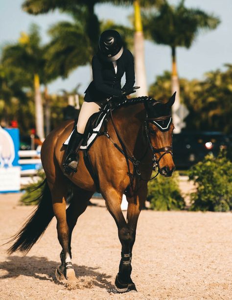 Horseback Riding Outfit, Aesthetic Equestrian, Riding Outfit Equestrian, Winter Equestrian, Winter Equestrian Festival, Equestrian Outfit, Horse Competition, Horseback Riding Outfits, Show Jumping Horses