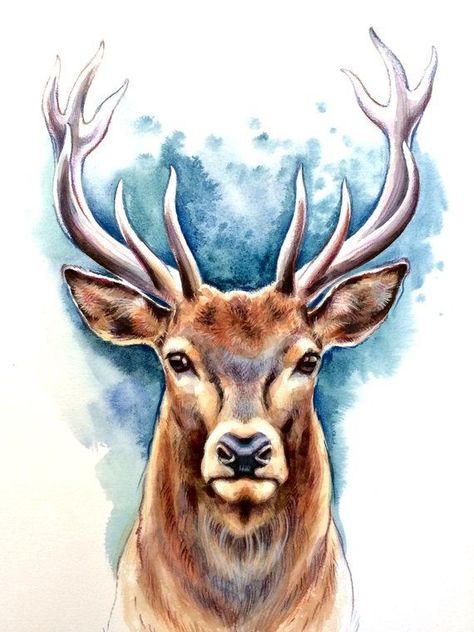 Deer Drawing, Sika Deer, Deer Photos, Deer Painting, Butterfly Tattoos, Deer Art, Soyut Sanat Tabloları, בר מצווה, Architectural Drawing