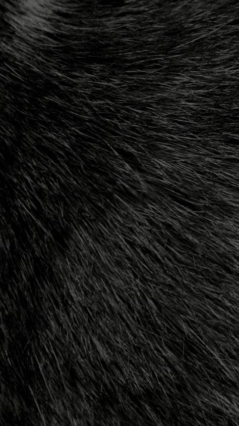 Grey Fur Wallpaper, Fluffy Wallpaper, Fur Wallpaper, White Iphone Background, Wallpaper Fur, Black Cat Pictures, Fur Background, Roblox Clothing, Tiger Skin