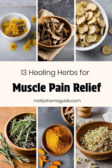 Explore the healing power of herbs and essential oils with homemade remedies like herbal pain relief salves and muscle rubs. Discover natural alternatives for alleviating sore muscles and muscle pain using soothing ingredients like dandelion balm, ginger salve, and other pain relieving herbs. Whether you prefer DIY solutions or ready-made creams, incorporating these effective remedies into your routine can provide comfort and relief. Embrace the benefits of nature's pharmacy for muscle relaxatio Herbal Medicine Recipes, Herbal Remedies Recipes, Medicinal Herbs Garden, Medical Herbs, Reducing Inflammation, Restless Legs, Essential Oils Herbs, Growing Pains, Foot Pain Relief