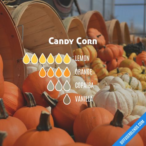 Candy Corn | DiffuserBlends.com Candy Corn Diffuser Blend, Candy Corn Candles Diy, Candy Corn Essential Oil Blend, Candy Corn Candles, Candle Scents Recipes, Reed Diffuser Sticks, Liquid Castile Soap, Essential Oil Diffuser Blends Recipes, Essential Oil Blends Recipes