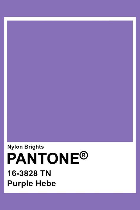 Pantone Violet Purple, Purple Pantone Aesthetic, Pantone Purple Aesthetic, Purple Pantone Palette, Purple Pantone Shades, Pantone Purple Shades, Pantone Colors Purple, Purple Swatches, Pantone Violet