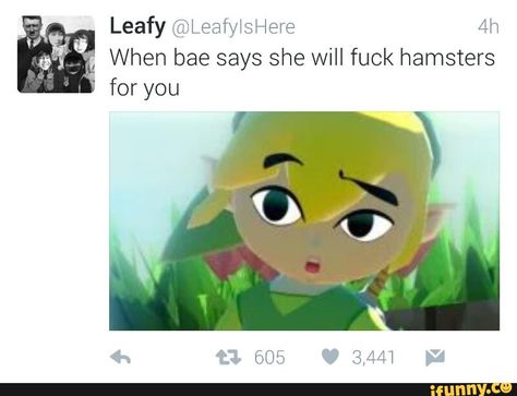 Windwaker Link, Toon Link, Link Meme, Zelda Funny, Link Zelda, Wind Waker, Zelda Art, Legend Of Zelda Breath, Old Games