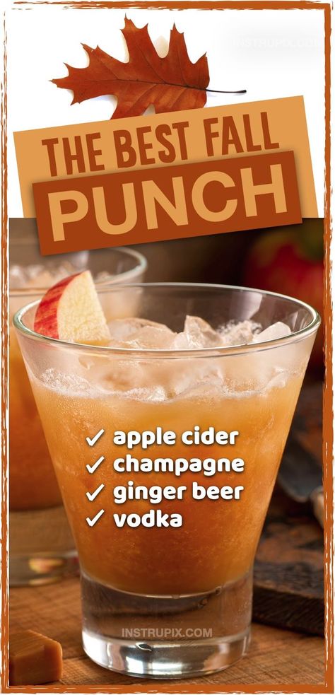 So dang good, It will disappear before your eyes! For parties or large gatherings, I find punch bowl recipes to be super easy and crowd pleasing, and this one is my favorite for Halloween or Thanksgiving. For adults only! It's made with simple ingredients including apple cider, champagne, ginger beer and vodka. This mixture is amazing! Great for family gatherings or anytime during the holidays. Everyone will be begging you for this easy alcohol punch recipe for fall. Healthy Fall Drinks Alcohol, Dispenser Alcohol Drinks, Fall Alcoholic Drinks Pitcher, Cold Fall Alcoholic Drinks, Alcoholic Party Ideas, Light Hourdourves, Fall Mixed Drinks For A Crowd, Drink Dispenser Recipes Alcoholic, Apple Cider Big Batch Cocktails