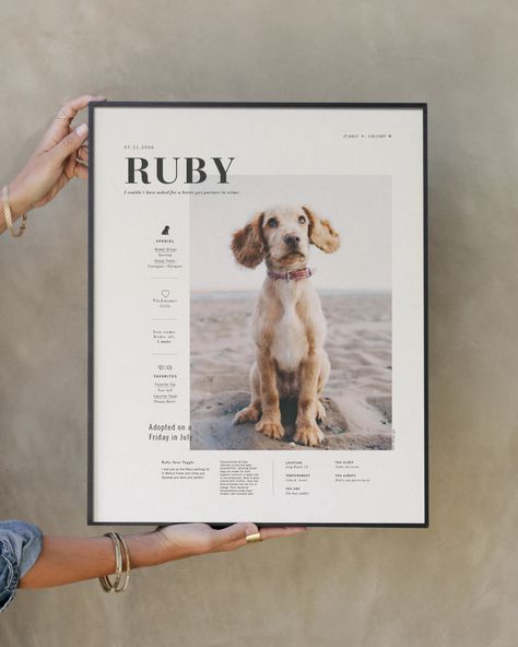 Create a meaningful custom photo print in minutes. Our signature giclée art prints are produced with premium, museum quality paper. Made and hand crafted in the USA. Adoption Stories, Dog Rooms, Dog Decor, Giclee Art Print, Photo Print, Dog Art, Custom Photo, Design Inspo, Animal Photography