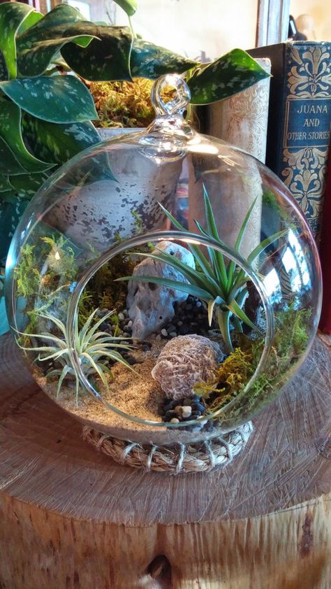 Sphere Terrarium, Crystal Ball Terrarium, Globe Terrarium, Big Glass Bowl Terrarium, Tillandsia Terrarium, Moss Crystal Terrarium, 18x18x24 Terrarium, Air Plant Glass Globe, Terrariums Kits