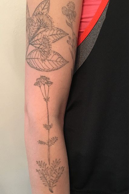 We Share Our Raddest Tattoos — & The Surprising Intentions Behind Them  #refinery29  http://www.refinery29.com/tattoos-aesthetic-sentimental-value-meaning#slide-1  "I have a whole bunch of really lovely (if I do say so myself) gray-ink tattoos of botanical illustrations from old encyclopedias. I love them and think they're beautiful, but there is no secret meaning, and when I tell people that, they often don't believe me." — Amelia... Gray Tattoo Ink, Encyclopedia Tattoo, Gray Ink Tattoo, Grey Tattoo Ink, Short Meaningful Quotes Tattoos, Grey Ink Tattoo, Armband Tattoo Meaning, Tattoo With Meaning, Stretch Mark Tattoo