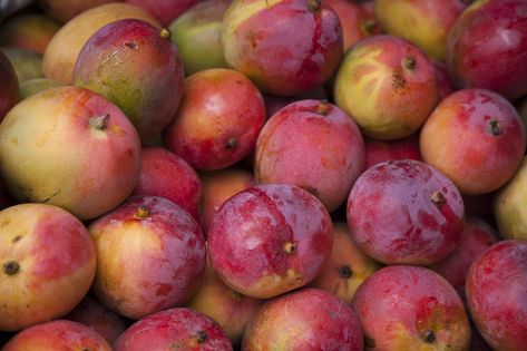 17 Worst Fruits for Diabetics - Superfoodliving.com Worst Fruits For Diabetics, Fruits For Diabetics, Best Fruits For Diabetics, Low Glycemic Fruits, Fruit For Diabetics, Dehydrated Fruit, Types Of Fruit, Porto Rico, Bad Food