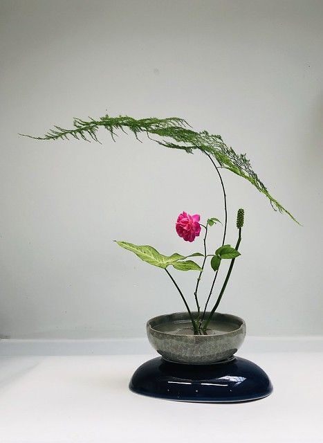 Arreglos Ikebana, Ikebana Sogetsu, Modern Floral Arrangements, Sogetsu Ikebana, Ikebana Arrangements, Ikebana Flower Arrangement, Dekor Diy, Flower Arrangements Simple, Modern Flower Arrangements