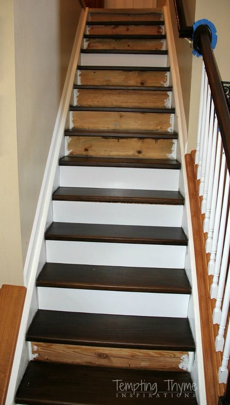 Installing New Stair Risers #stairway #staircase #stairs #risers #makeover Trap Makeover, Stairway Makeover, Redo Stairs, Stairs Renovation, Stair Makeover, Diy Staircase, Stairs Makeover, Staircase Remodel, Staircase Makeover