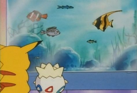 Pikachu and Togepi looking at real world fish. Pokemon Universe, Mermaid Lagoon, 90s Cartoons, Indian Elephant, First Generation, In Addition, 90s Kids, Cute Pokemon, Pokemon Go