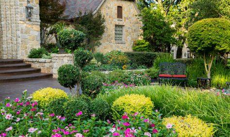 7 Texas Evergreen Shrubs Perfect for Your North Texas Landscape Texas Evergreen Shrubs, Texas Flower Bed Ideas, Texas Flower Bed, Landscape Ideas Front Yard Curb Appeal, Texas Landscaping, Evergreen Landscape, Texas Native Plants, Front Lawn Landscaping, Texas Landscape