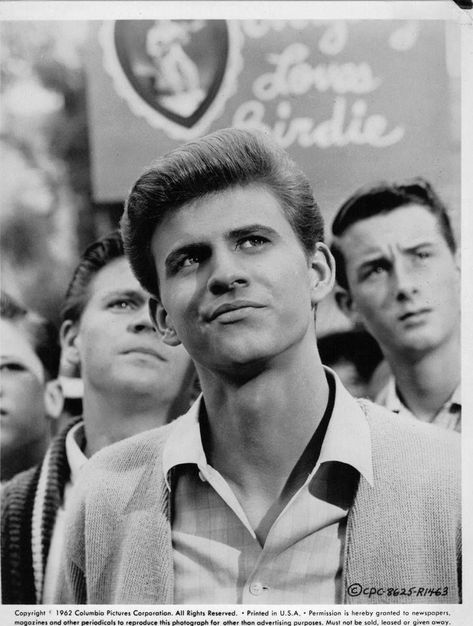 Bobby Rydell, Bye Bye Birdie, Love This Pic, First Crush, Columbia Pictures, Love Pictures, Old Movies, Che Guevara, Love This