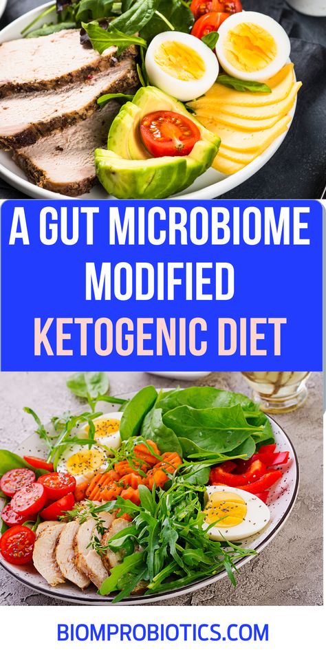 KetoBiom Gut Microbiome Diet, Ketobiotic Recipes Dr Mindy, Ketobiotic Foods, Ketobiotic Diet, Modified Keto Diet Plan, Healthy Microbiome Foods, Microbiome Foods, Food For Microbiome, Food Good For Microbiome