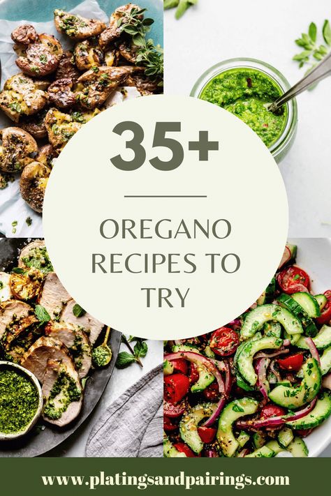 Oregano is so much more than just a sidekick to pepperoni and cheese. Here's 35+ dried & fresh oregano recipes to try out. Recipes With Oregano, Recipes With Fresh Oregano, Dried Oregano Recipes, Oregano Recipes Fresh, Fresh Oregano Uses, Recipes Using Fresh Oregano, Italian Oregano Recipes, Fresh Oregano Recipes, Cooking With Fresh Oregano