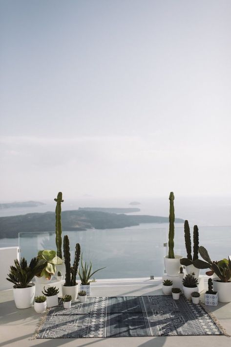 Greece Wedding Ceremony, Agave Wedding, Minimalist Ceremony, Family Elopement, Tropical Wedding Ideas, Ceremony Altar, Events Place, Rug Minimalist, Cactus Wedding