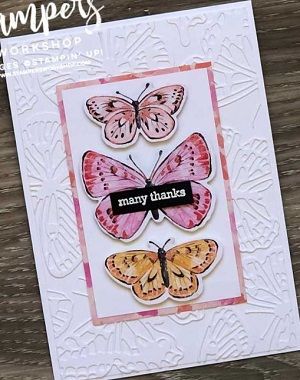 Butterfly Brilliance, Butterfly Bouquet, Many Thanks, Stamping Up Cards, Butterfly Cards, Pretty Cards, Itty Bitty, Stamping Up, Patterned Paper