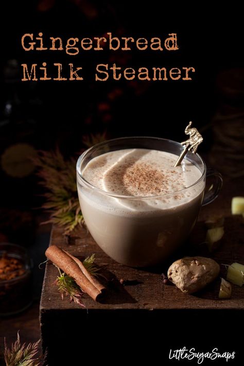 Gingerbread Milk Steamer - a warming and comforting drink of steamed milk with homemade gingerbread syrup. Great for kids, coffee haters or for a late night, caffeine free drink #gingerbreadlatte #gingerbreadmilk #milksteamer #hotgingerbreadmilk #gingerbreadsyrup #gingerbreadrecipe Steamer Drink Recipes, Milk Steamer Recipes, Recipes For Drinks, Milk Steamer, Caffeine Free Drinks, Gingerbread Syrup, Homemade Gingerbread, Steamed Milk, Seed Recipes