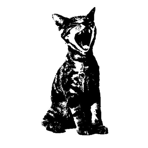 Stencil For Clothes, Deftones Stencil, Cat Stencil Tattoo, Graphic Poster Black And White, Black And White Aesthetic Posters, Deftones Icons, Cat Drawing Black And White, Camera Graphic Design, Deftones Cat