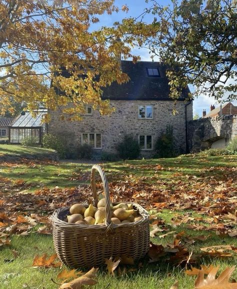 Canadian - Irish roots 🍀 Apple Picking Fall, Fall Autumn Aesthetic, Cotswolds Cottage, Fall Cottage, Harvest Farm, England Countryside, Lily Garden, Cottage Aesthetic, Irish Roots