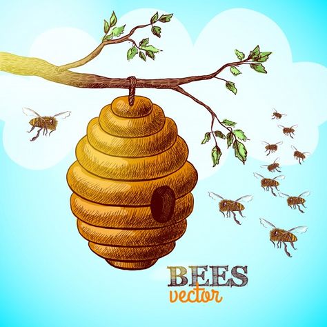 Honey bees and hive on tree branch background vector illustration Free Vector Beehive Drawing, Honeycombs Drawings, Bee Sketch, Bee Drawing, Gold Glitter Background, Glowing Background, Honey Bee Hives, Bee Tattoo, Bee Art