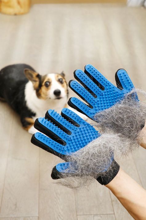 Dog Hair Removal, Hair Remover Tool, Dog Grooming Tools, Hair Of The Dog, Cat Grooming Tools, Dog Washing Station, Fur Gloves, Dog Cleaning, Pet Brush