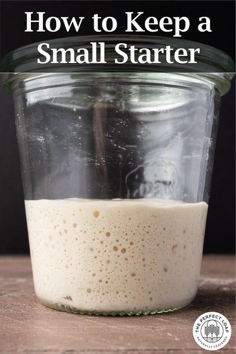 Small Sourdough Starter, Sour Dough Starter Jar, Small Batch Sourdough Starter, Starting Sourdough, Diy Yeast, Feed Sourdough Starter, Sourdough Starter Feeding, Miracle Bread, Starter Dough