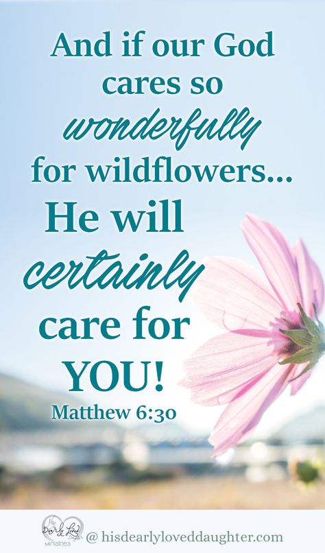 And if God cares so wonderfully for wildflowers... He will certainly care for YOU! Matthew 6:30 #hisdearlyloveddaughter #bibleverse #scripture #wordofgod #biblestudy Matthew 6 30, Spring Scripture, Matthew Scriptures, Worry Bible Verses, Worrying About The Future, Bible Verse Background, First Response, Healing Scriptures, Spiritual Encouragement