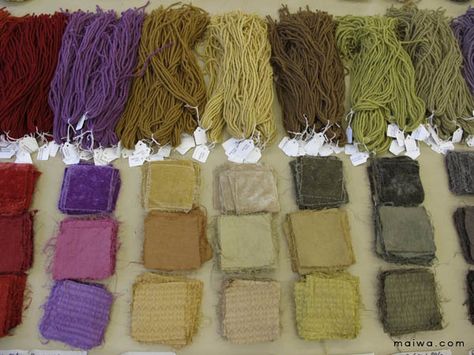 MAIWA How To Tea Dye Cotton Fabric, Eco Dyeing Fabric Tutorials, How To Make Natural Dyes For Fabric, Pokeweed Dye, Natural Dyes For Wool, Eco Printing, Learn Art, Natural Dyes, Batik