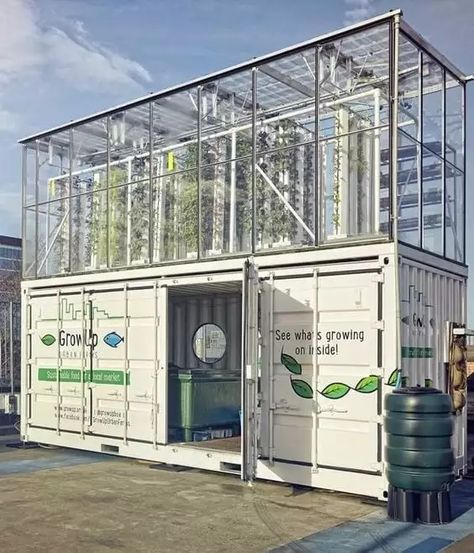 Container Greenhouse, Container Farm, Commercial Aquaponics, Urban Farms, Aquaponics Greenhouse, Indoor Farming, Aquaponics Diy, Aquaponic Gardening, Farming Business