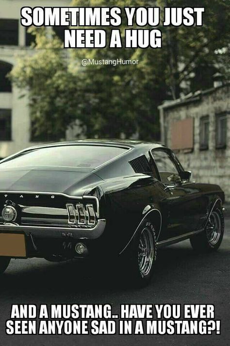 Mustang Quotes, Luxury Cars Porsche, Porsche Pictures, Old Mustang, Mustang Girl, Cars Porsche, Car Jokes, Mustang Car, Tag Friends