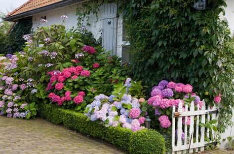 10 Ways To Create An English Garden - Northern Nester Manor Garden, Famous Gardens, Tiered Garden, Hydrangea Garden, Cottage Garden Design, Garden Shrubs, English Cottage Garden, Topiaries, Garden Girls