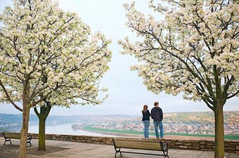 The crack of a baseball bat and the opening of bulbs mark the official start of spring in Cincinnati. Cinncinati Ohio, Things To Do In Cincinnati, Spring Break Ideas, Start Of Spring, Break Ideas, Spring Getaway, Ohio Travel, Eden Park, Midwest Living