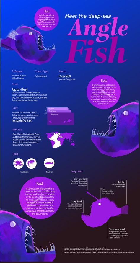 Sea Infographic, Fish Infographic, Ocean Acidification, How To Fish, Food Web, Angler Fish, Marine Biology, Wipe Out, Deep Sea