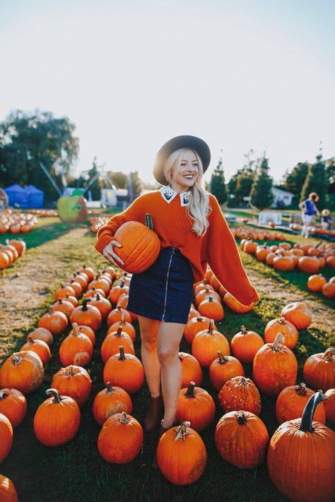 A Roundup of My Favorite Fall Outfits - Rach Martino Apple Picking Outfit Summer, Rach Martino, Pumpkin Patch Outfits, Pumpkin Patch Photography, Rachel Martino, Apple Picking Outfit, Pumpkin Patch Photoshoot, Pumpkin Patch Pictures, Fall Photo Shoot Outfits