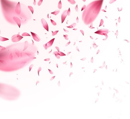 Petals Background, Cherry Blossom Vector, Falling Petals, Japanese Cherry Tree, Cherry Blossom Japan, Pink Sakura, Cherry Flower, Black Pink Background, Cherry Blossom Branch