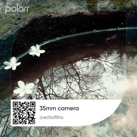 35mm camera by echo. polarr filters. textured. polarrian. vintage. indie film. unfiltered. polarr codes. polarr qr code. #aesthetic #polarrcode #polarr| Lightroom Free Presets Film Filter Polarr, Polarr Filters Code Vintage, Qr Code Aesthetic, Code Aesthetic, Disney Honeymoon, Polar Codes, Filter Code, Indie Film, Phone Photo Editing