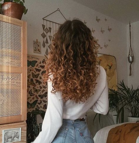 Curly Hair Goals, Dyed Curly Hair, Natural Curly Hair Cuts, Highlights Curly Hair, Curly Hair Photos, Colored Curly Hair, Natural Aesthetic, Curly Hair Products, Autumn Look