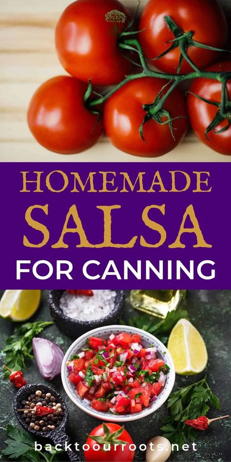 Can Salsa Recipe Canning, Dehydrated Food Recipes, Raw Food Desserts, Homemade Salsa For Canning, Smoked Salsa Recipe, Mild Salsa Recipe, Fresh Salsa Recipe Homemade, Salsa Recipe For Canning, Salsa For Canning