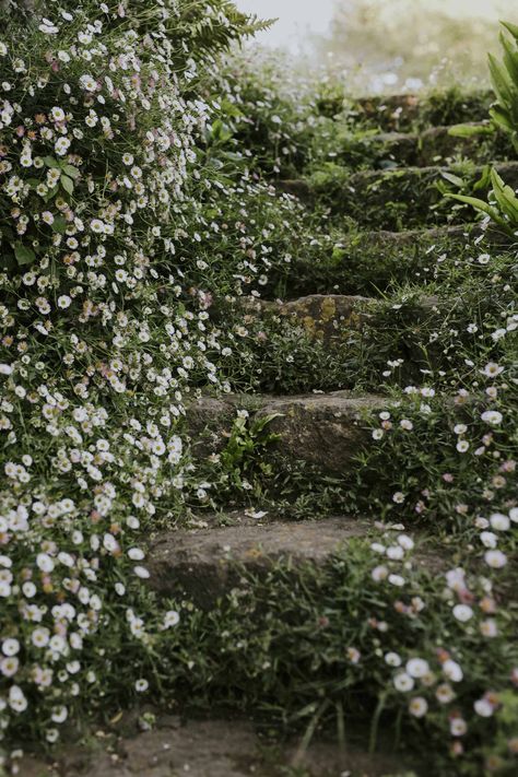 Angelcore House Exterior, Flower Garden Inspiration, Garden Italy, Vintage Gardens, Dan Pearson, Tattoo Plant, Royal Garden, Italian Garden, Have Inspiration