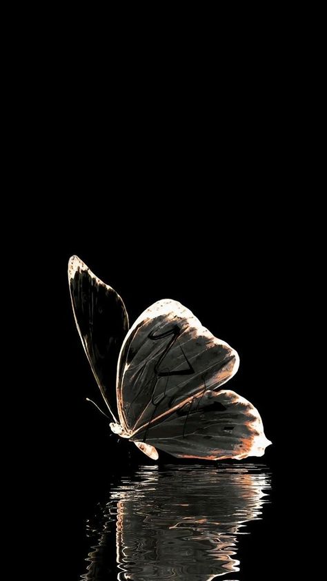 Phone Wallpaper Boho, Pretty Wallpapers Tumblr, Butterfly Wallpaper Backgrounds, Beautiful Butterflies Art, Goth Wallpaper, Iphone Wallpaper Kawaii, Print Design Art, Butterfly Wallpaper Iphone, Travel Pictures Poses