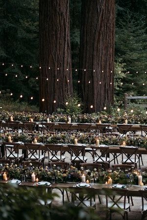 Enchanted Forest Wedding at Waterfall Lodge in Santa Cruz, California | 15 more photos on PartySlate Blue And Earth Tones, Cloche Garden, Indoor Forest, Hanging Greenery, Waterfall Wedding, Floral Installation, Enchanted Forest Wedding, Santa Cruz California, Wildflower Meadow