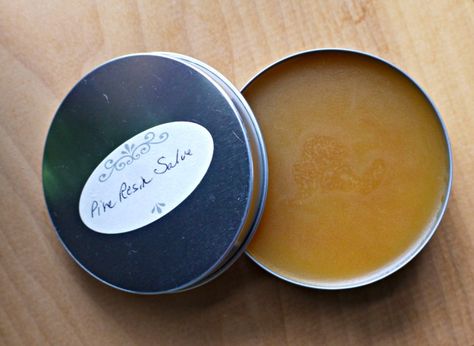 Pine Gum Salve Recipe, Pine Sap Salve, Pine Tree Sap Uses, Pine Sap Uses, Pine Pitch Salve, Witches Apothecary, Medicinal Herbs Remedies, Wild Crafting, Medicinal Wild Plants