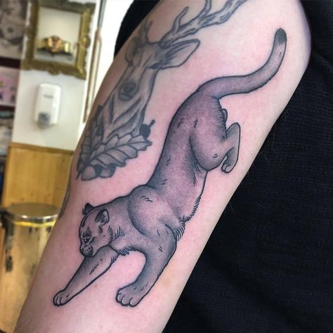 Mountain Lion Tattoo Traditional, Mountain Lion Tattoo, Cougar Tattoo, Tattoo Real, Tattoo Traditional, Mountain Lion, Lion Tattoo, Tattoo Inspo, Traditional Tattoo