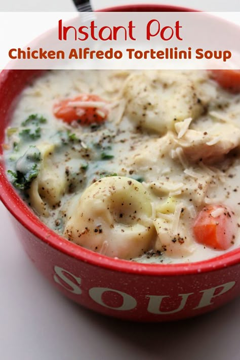 Chicken Alfredo Tortellini Soup, Alfredo Tortellini Soup, Tortellini Soup With Chicken, Chicken Alfredo Tortellini, Slow Cooker Chicken Alfredo, Instant Pot Chicken Alfredo, Alfredo Tortellini, Soup Tortellini, Crockpot Chicken Alfredo