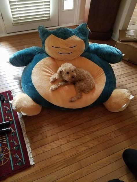 Snorlax Beanbag Chair, Snorlax Bean Bag Chair, Snorlax Bed, Hidy Hole, Snorlax Bean Bag, Mixed Aesthetic, Pokemon Merch, Stuffed Animal Bean Bag, Cool Bean Bags